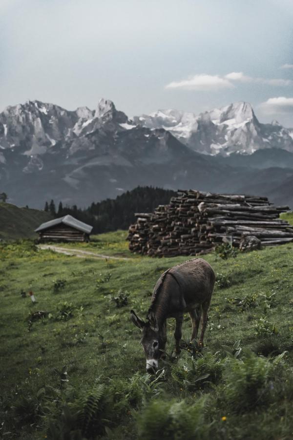 Gaestehaus Eder Otel Sankt Martin am Tennengebirge Dış mekan fotoğraf